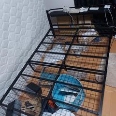 組立式セミダブルベッドの枠