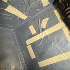 ダンぼっちトールの画像