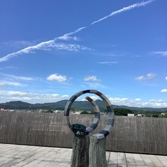 4月12日からロサンゼルス行きませんか - その他