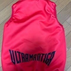 【ほぼ新品未使用】ウルトラマン　ダウンベストの画像