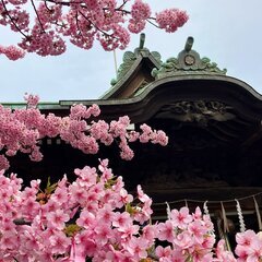 近場の友達を募集！