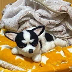 羊毛フェルトで作る貴方の愛犬