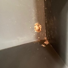 ミラーつき　収納の画像