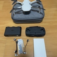 flycam