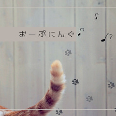 【Z3601】高時給1200円！扶養内OK♪SNSで話題の人気の...