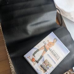【美品】【AEROLIFE】エアロライフ・コアビクサー・ステッパー・公式通販購入品の画像