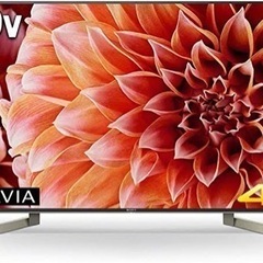 SONY BRAVIA X9000F KJ-49X9000F 中...