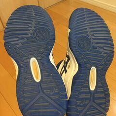 バッシュの画像