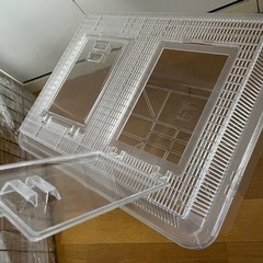 爬虫類 ケージ 43×34×25cmの画像