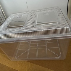 爬虫類 ケージ 43×34×25cmの画像