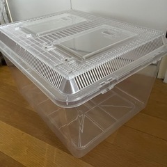 爬虫類 ケージ 43×34×25cmの画像