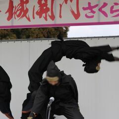 ☆アクションメンバー募集☆ - 宮崎市