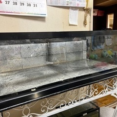 ガラス水槽 90cmの画像