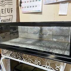 ガラス水槽 90cmの画像