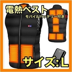 ⭐️早い者勝ち⭐️電熱ベスト 極暖　モバイルバッテリー付き　男女兼用