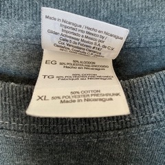 大きいサイズ　Tシャツの画像