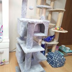 猫タワー（中古品）
