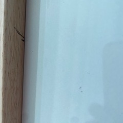 【引き渡し限定】移動式ホワイトボードの画像