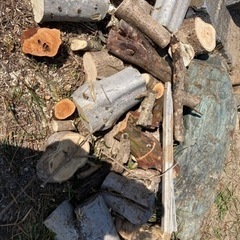 庭の枯れ木　枝　ざっくり縛りました。の画像
