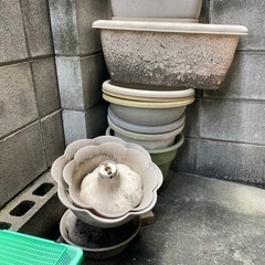 プラスチックのプランター　差し上げます