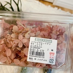 東京堂　ドライフラワーの画像