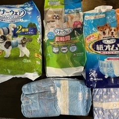 犬用マナーウェアM 男の子用