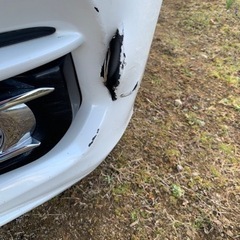 ホンダ　フィット　１３Ｇ・Ｌ　Ｈｏｎｄａ　ＳＥＮＳＩＮＧの画像