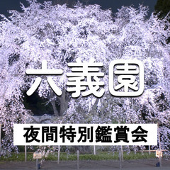 四年ぶりの開催｜六義園｜シダレザクラのライトアップ♪夜間特別観賞...