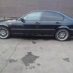 BMW 318i E46の画像