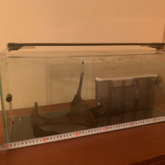 アクアリウムセット