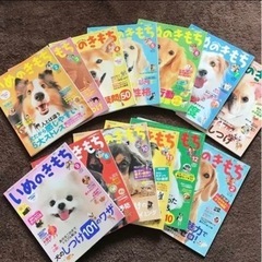 【いぬのきもち】2014年2月〜2015年1月　13冊セット