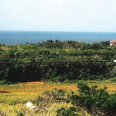 【売地】沖縄県石垣市野底261-2分筆予定地1、新石垣空港より約19km(車約23分) - 石垣市