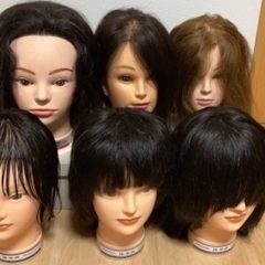 美容師練習用ウィッグ（カット、ヘアセット、ワインディング）