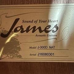 James J-300D NAT(ナチュラル) アコースティックギターの画像