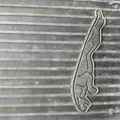 ジャガーフロアーマットの画像