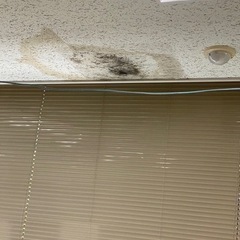 公共施設事務所雨漏り修繕工事・大阪府枚方市