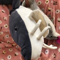    チョウザメとイルカのぬいぐるみの画像