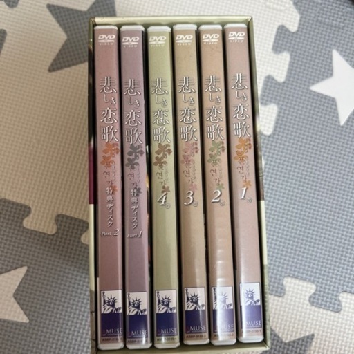 韓国　悲しき恋歌DVD BOX