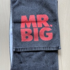 MR. BIG タオル