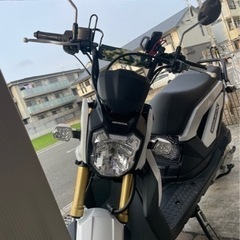 早い者勝ち‼️ ズーマーX 110