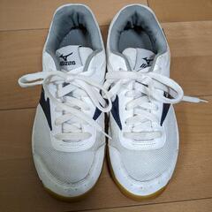 体育館シューズ　25cm