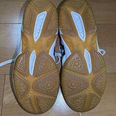 体育館シューズ　25cmの画像