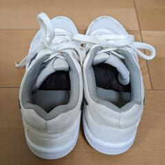 体育館シューズ　25cmの画像