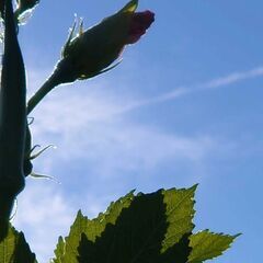 農地・田畑を持っている人の悩みを聞かせてください