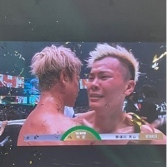 パナソニック　50インチ　地上・ＢＳ・１１０度ＣＳデジタルハイビジョン液晶テレビ TH-50C300の画像