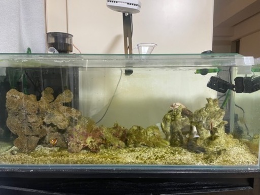 海水魚水槽一式(90.30.36)