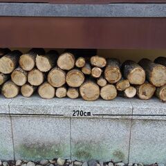 ナラの木、薪にどうですか？