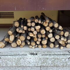ナラの木、薪にどうですか？の画像