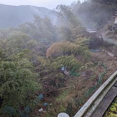 有田川町の山林