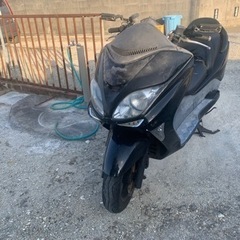 mf08 フォルツァ　＊最終値下げ＊